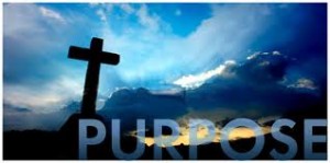 Purpose Cross